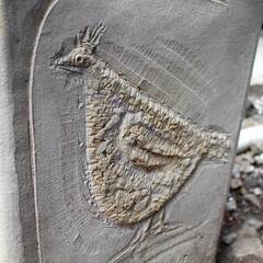 鳥の傘立ての画像