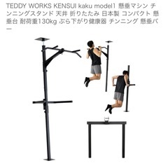 TEDDY WORKS 懸垂マシンの画像