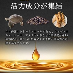 VellSto ヴェルスト ロイヤル はちみつ ハニー VIPシトルリン800mの画像