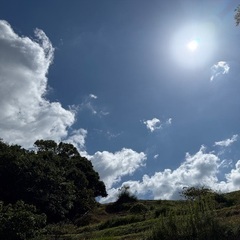 障がい福祉サービス