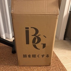 iBG ブラック キャリーケースの画像