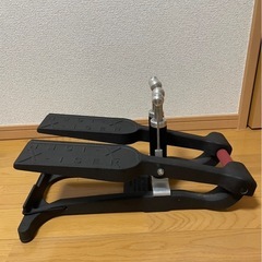Xiser社ステッパーの画像