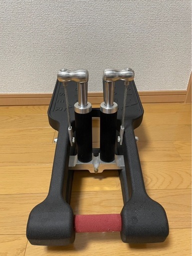 Xiser社ステッパー