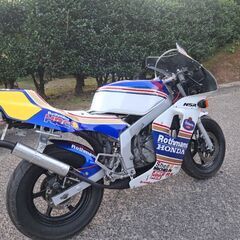 NSR50　後期　  ロスマンズ仕様の画像