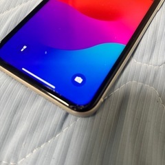 iPhone 11本体の画像