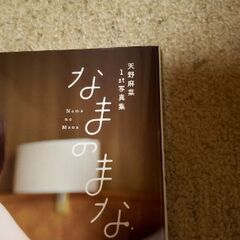 天野麻菜1st写真集　なまのまな&[おまけ河田写真集]の画像