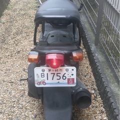 ズーマ　ZXカスタム　キャブ車の画像