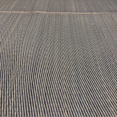 いぐさマットの画像