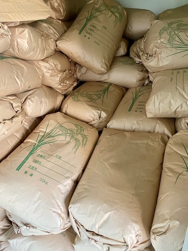 令和7年産新米コシヒカリ玄米30kg