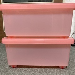 マザーグースの森　うさちゃんプリティケース2個の画像