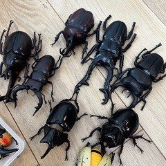 昆虫フィギュア　おまとめ　セットの画像