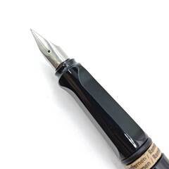 【未使用】LAMY ラミー サファリ 万年筆 FP F safari シャイニーブラック L19BKFの画像
