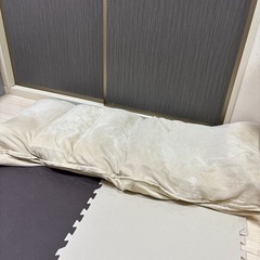 座椅子(リクライニング)の画像