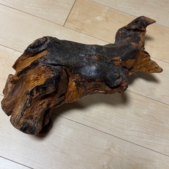 流木　木の置物　オブジェの画像