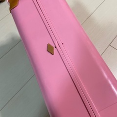 プリンセスのキャリーケース(おもちゃ)の画像