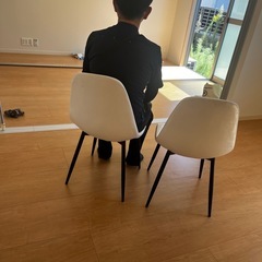 ダイニングチェア2脚セット
の画像