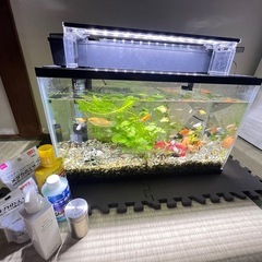 水槽の画像