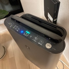 2025年製　SHARP 空気清浄機の画像