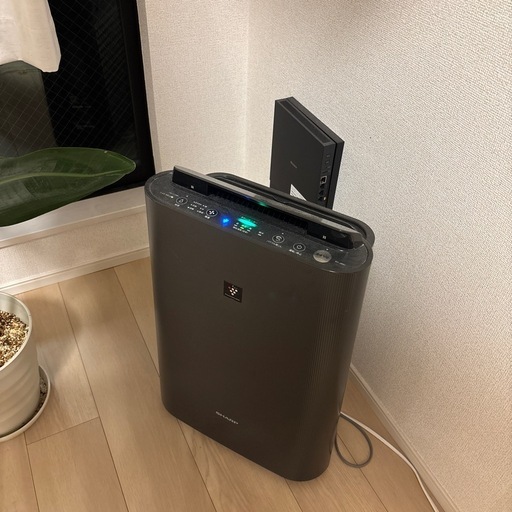 2025年製　SHARP 空気清浄機