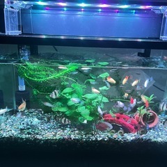 水槽の画像