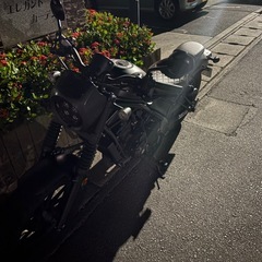 レブル250sエディション マットブラックの画像