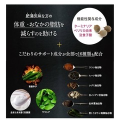 ターミナリアファスト新品未使用6袋！の画像