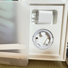 新品 iPad mini 7 256GB セルラー SIMフリー Apple care スペースグレイ おまけ多の画像