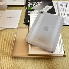 新品 iPad mini 7 256GB セルラー SIMフリー Apple care スペースグレイ おまけ多の画像