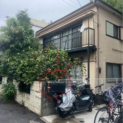🟥明日　13日午後バイク　リアボックス移植　時間余れば