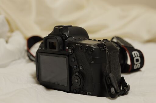 値下げ【フルサイズカメラ】Canon EOS 6D Mark 2 レンズ付き 一眼レフ カメラ フルサイズ タムロン 28-75 f2.8 大阪