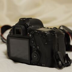 【フルサイズカメラ】Canon EOS 6D Mark 2 レンズ付き 一眼レフ カメラ フルサイズ タムロン 28-75 f2.8 大阪の画像
