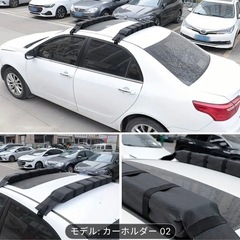 ソフトキャリア の画像
