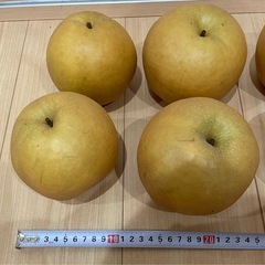 新高梨　なしの画像