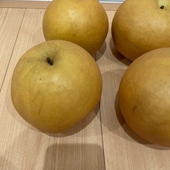 新高梨　なしの画像