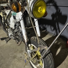 HONDA DAX 中華の画像