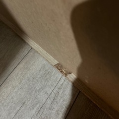 文庫ラック・コミックラック・本棚　 2個セット
の画像