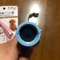 水飲み、歯ブラシの画像