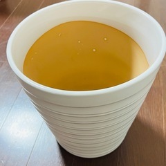 鉢の画像