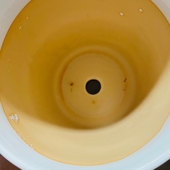 鉢の画像