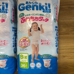 オムツ　big 108枚　genkiの画像