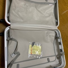 大型キャリーケースの画像