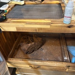 飼育ゲージ
の画像