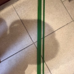植物　支柱　家庭菜園　緑　の画像