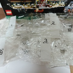 レゴ　LEGO ホームアローン　21330の画像