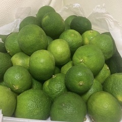 【徳島県産すだち農家直送】神山町すだち1kg 1000円　の画像
