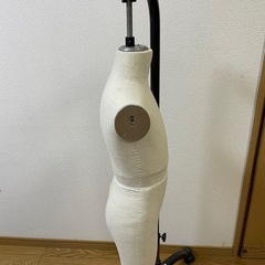 キイヤ子供5歳用トルソーの画像