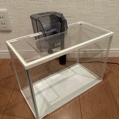 水槽の画像