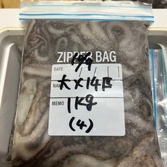 ♦︎シガヤー 大14匹 1kg (4)♦︎の画像