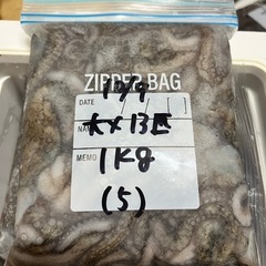 ♦︎シガヤー 大13匹 1kg (5)♦︎の画像
