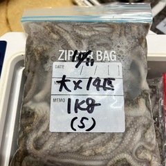 ♦︎シガヤー 大14匹 1kg (5)♦︎の画像